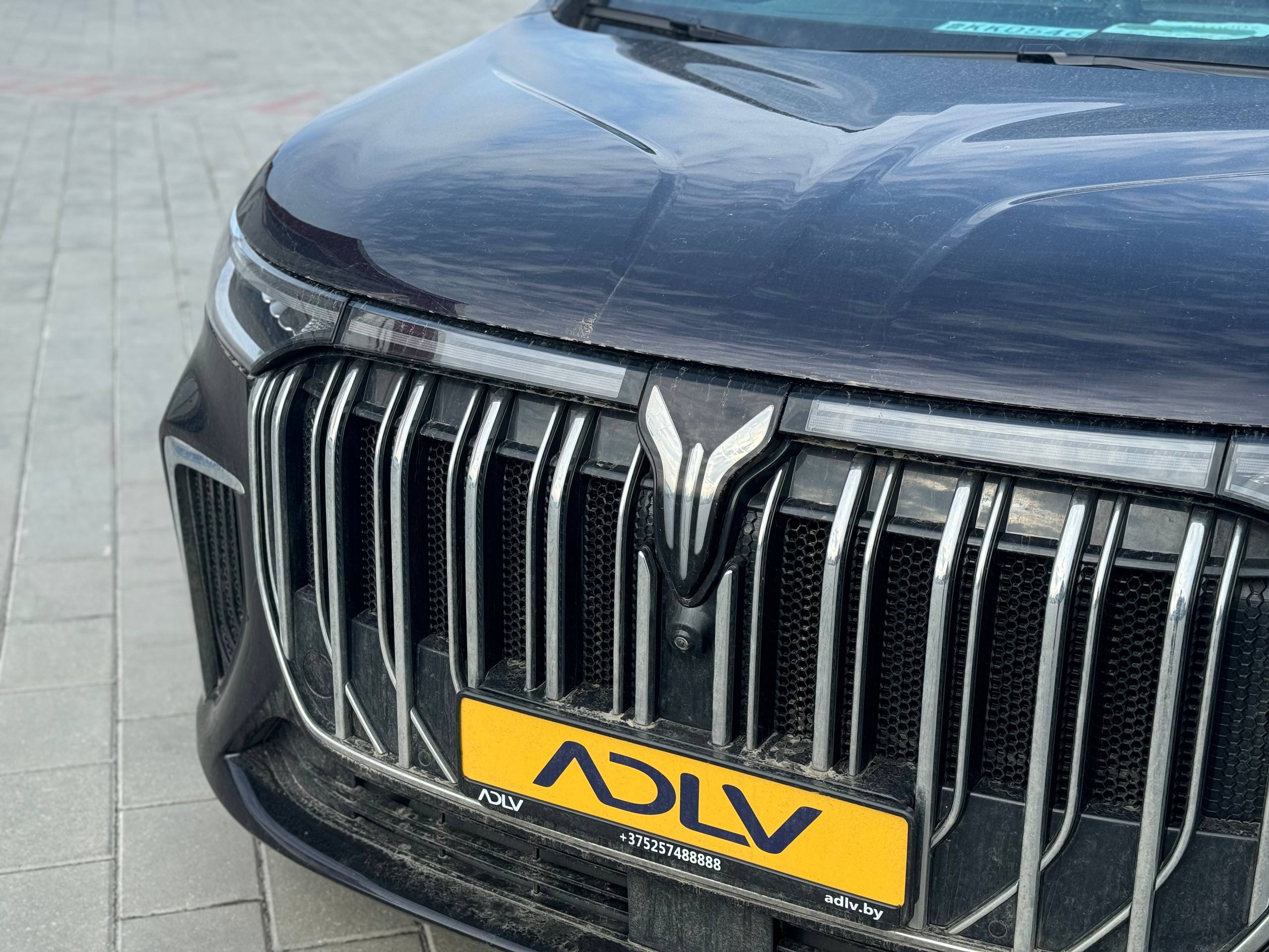 photo_3_2026-04-01_11-21-56