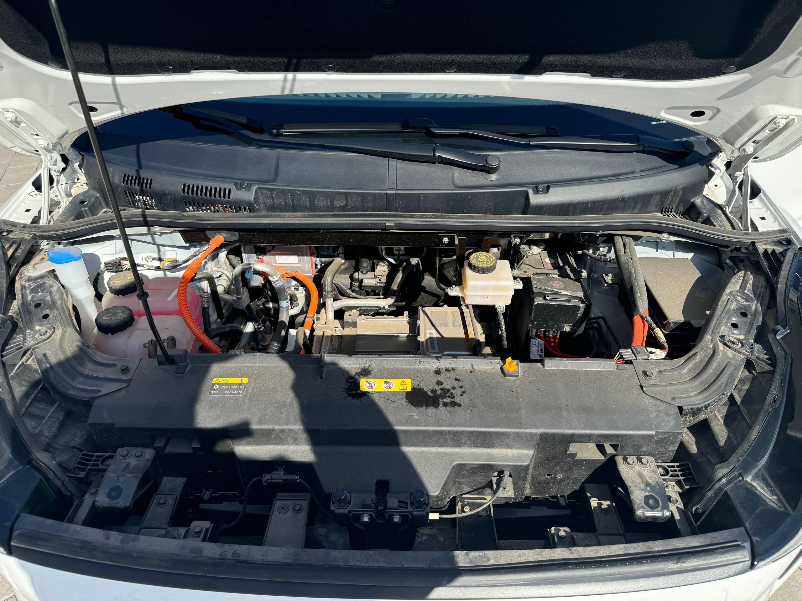 photo_11_2026-03-17_12-49-54