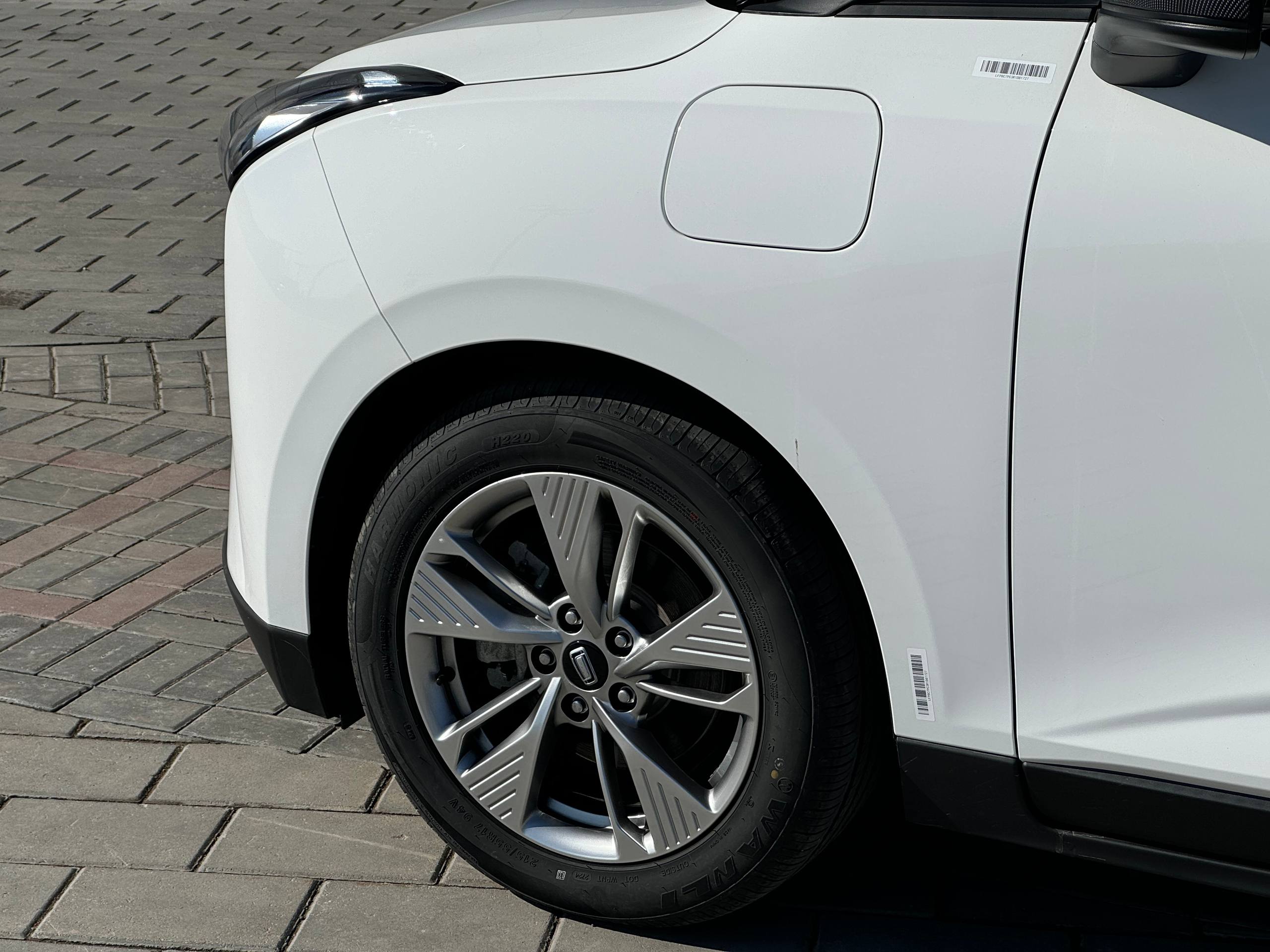 photo_3_2026-03-17_12-49-54