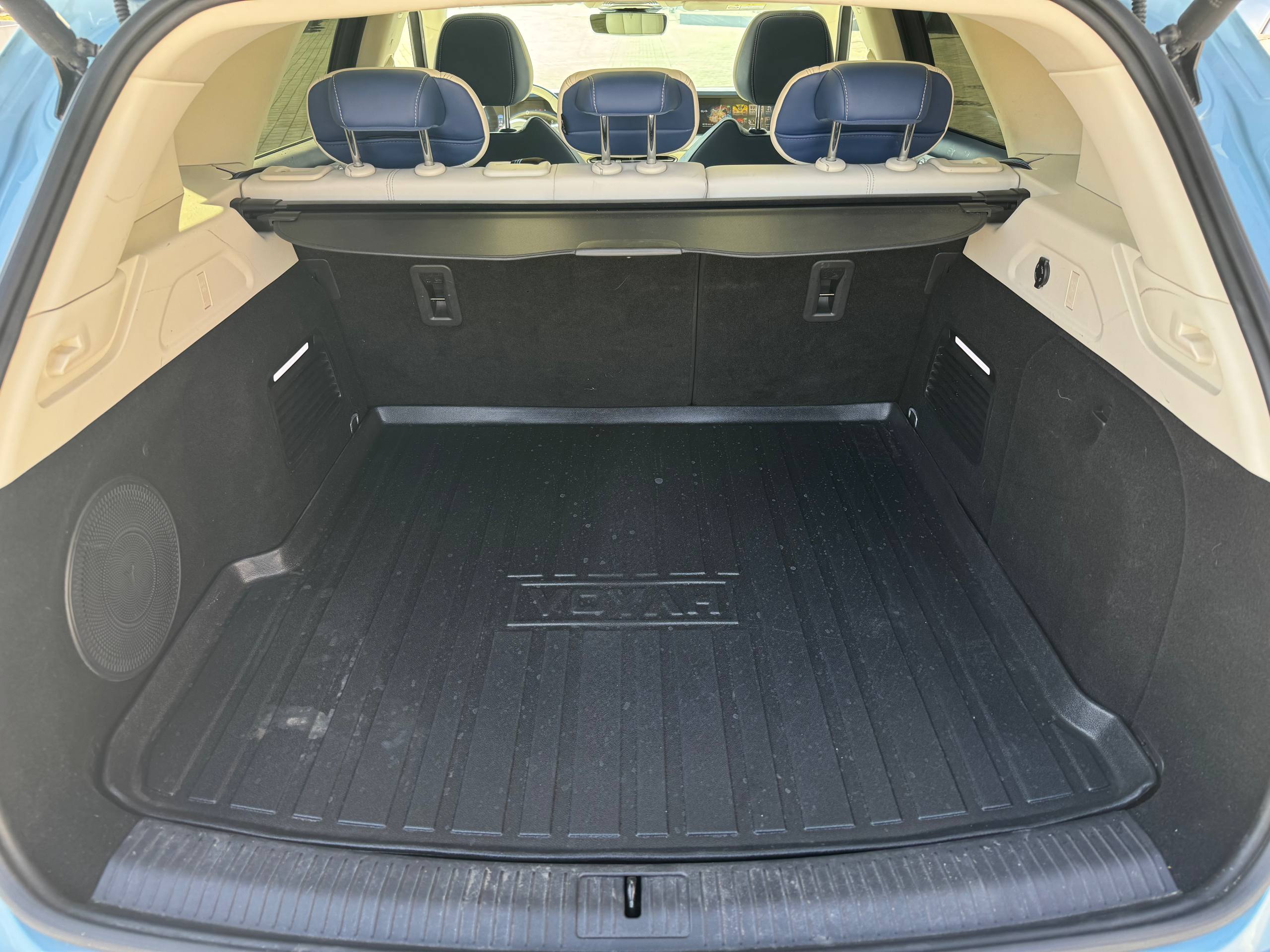 photo_5_2026-03-19_13-02-19