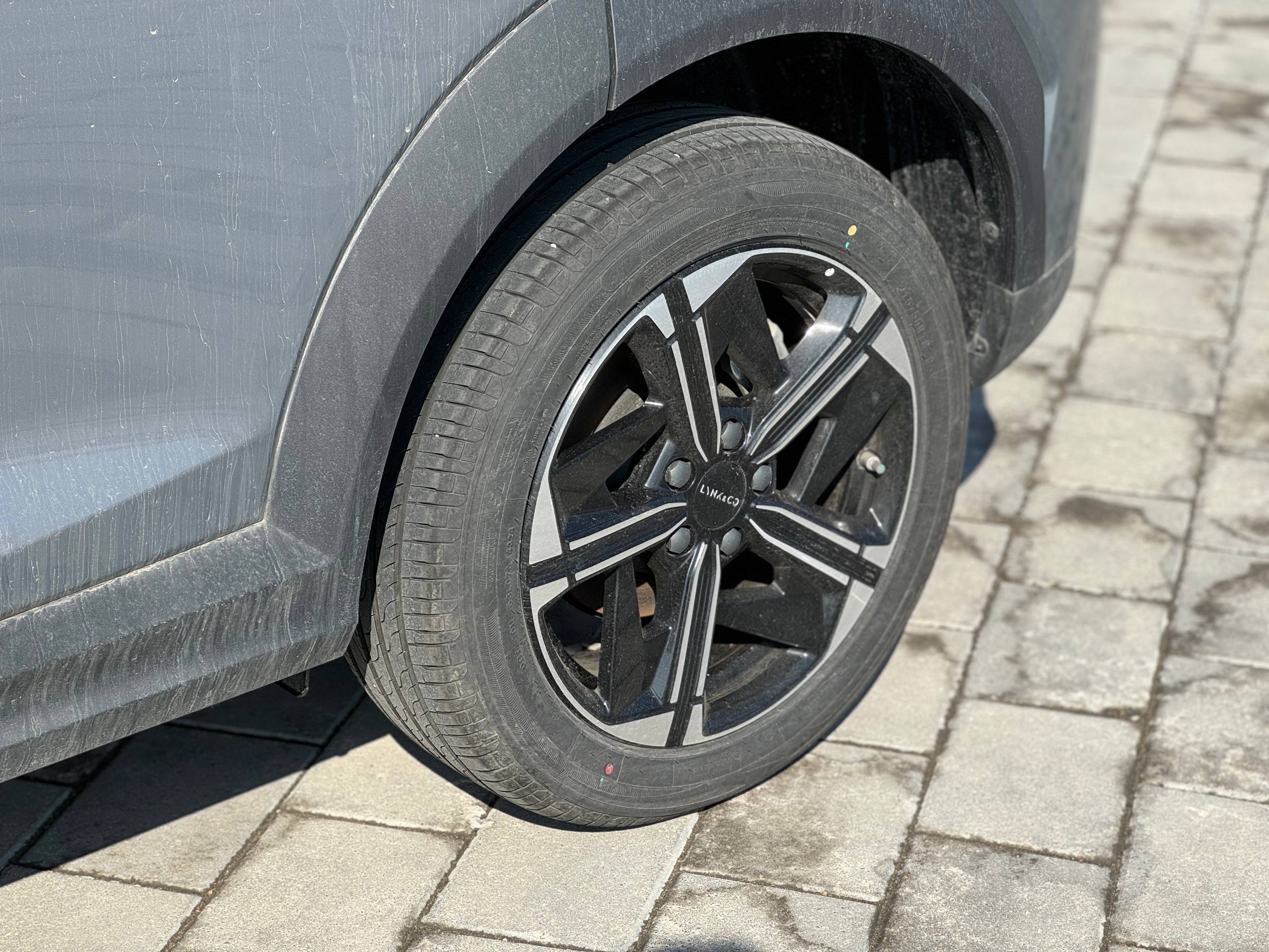 photo_3_2026-04-01_11-58-35