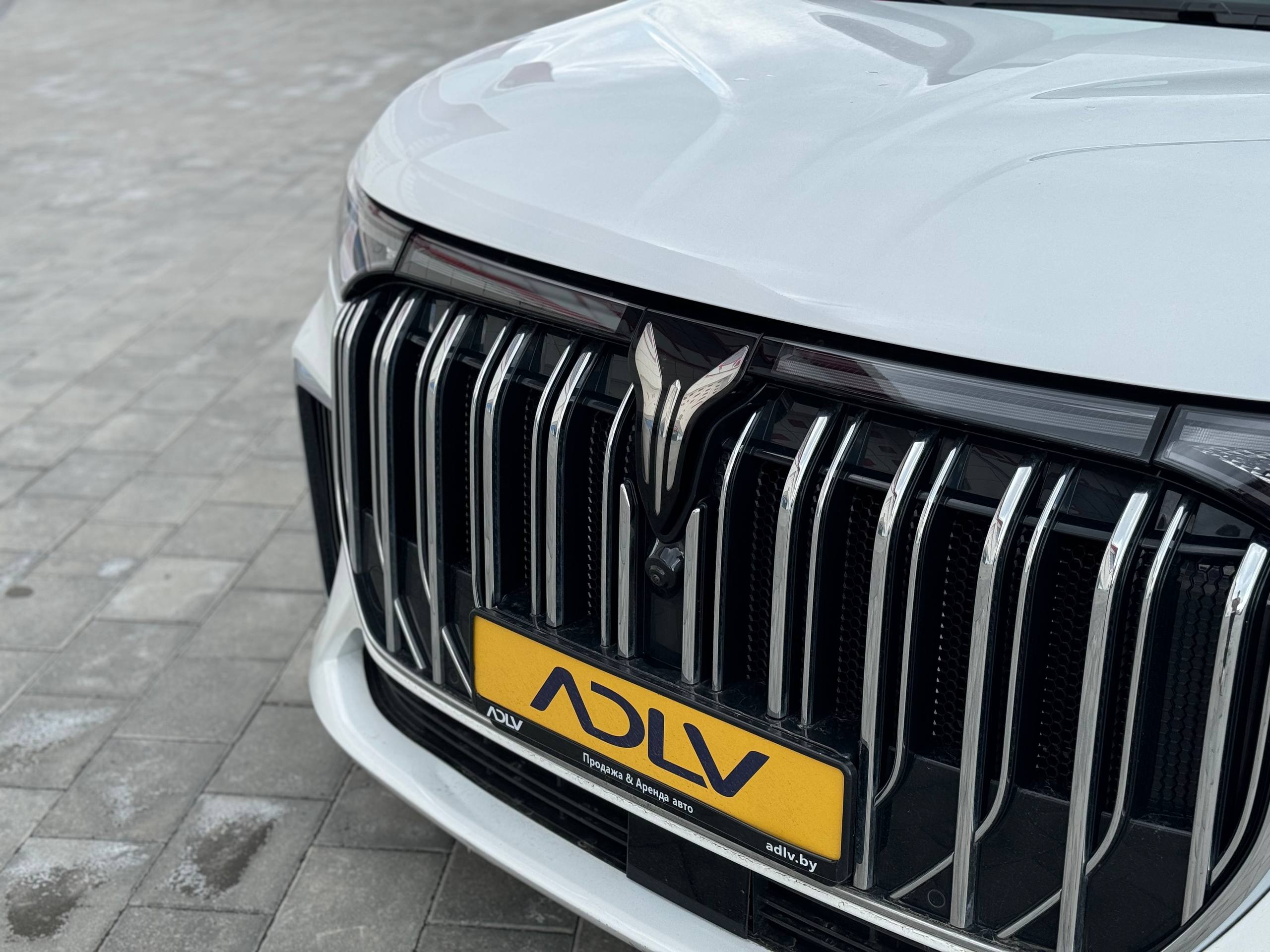 photo_3_2026-04-13_13-09-31